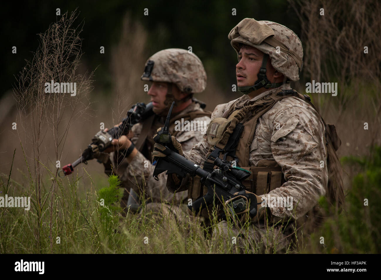 Stati Uniti Marine Corps Gunnery Sgt. Guadelupe Pineda, plotone sergente per primo plotone, con 2D'ingegnere di combattimento battaglione (CEB), seconda divisione Marine, dà indicazioni per i Marines per fornire sicurezza durante la conduzione di un attacco simulato alla formazione di zona di atterraggio Pullover, Camp Lejeune, N.C., 21 maggio 2015. I marines di 2D CEB con supporto da 8 Supporto tecnico di battaglione, 2D serbatoi battaglione, Assalto e battaglione anfibio ha partecipato al Campo CEB Esercizio per mantenere la prontezza operativa. (U.S. Marine Corps photo by Lance Cpl. Chloe Nelson 2D MARDIV Combattere la telecamera/RILASCIATO) 2D CEB FEX 150 Foto Stock