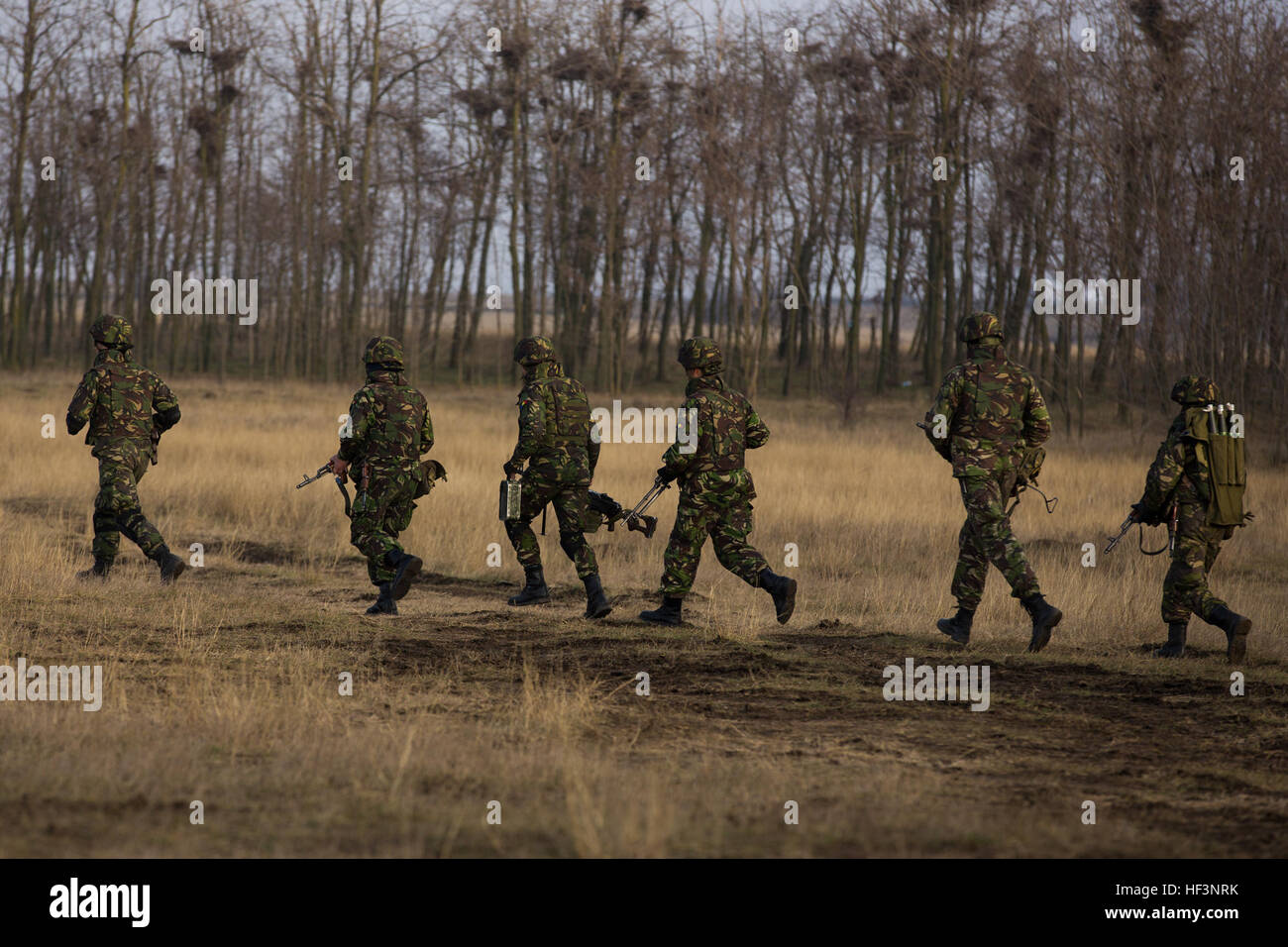 Stati Uniti Marines con bracci combinato Company, Mar Nero forza rotazionale, condurre la formazione sul campo con il rumeno e moldavo forze armate durante il platino Lynx 16-2 a Smardan Area Formazione, Romania, Dicembre 9, 2015. Esercizio Platinum Lynx 16-2 È NATO-led esercizio multinazionale progettato per rafforzare la lotta contro la disponibilità, aumentare migliorare le capacità collettive e mantenere relazioni comprovate con alleati e partner delle nazioni. (U.S. Marine Corps photo by Lance Cpl. Melanye E. Martinez/RILASCIATO) Fratelli in armi combinato, gli alleati della NATO e ai partner di aumentare combinate funzionalità di armi in platino Lynx 16-2 Foto Stock