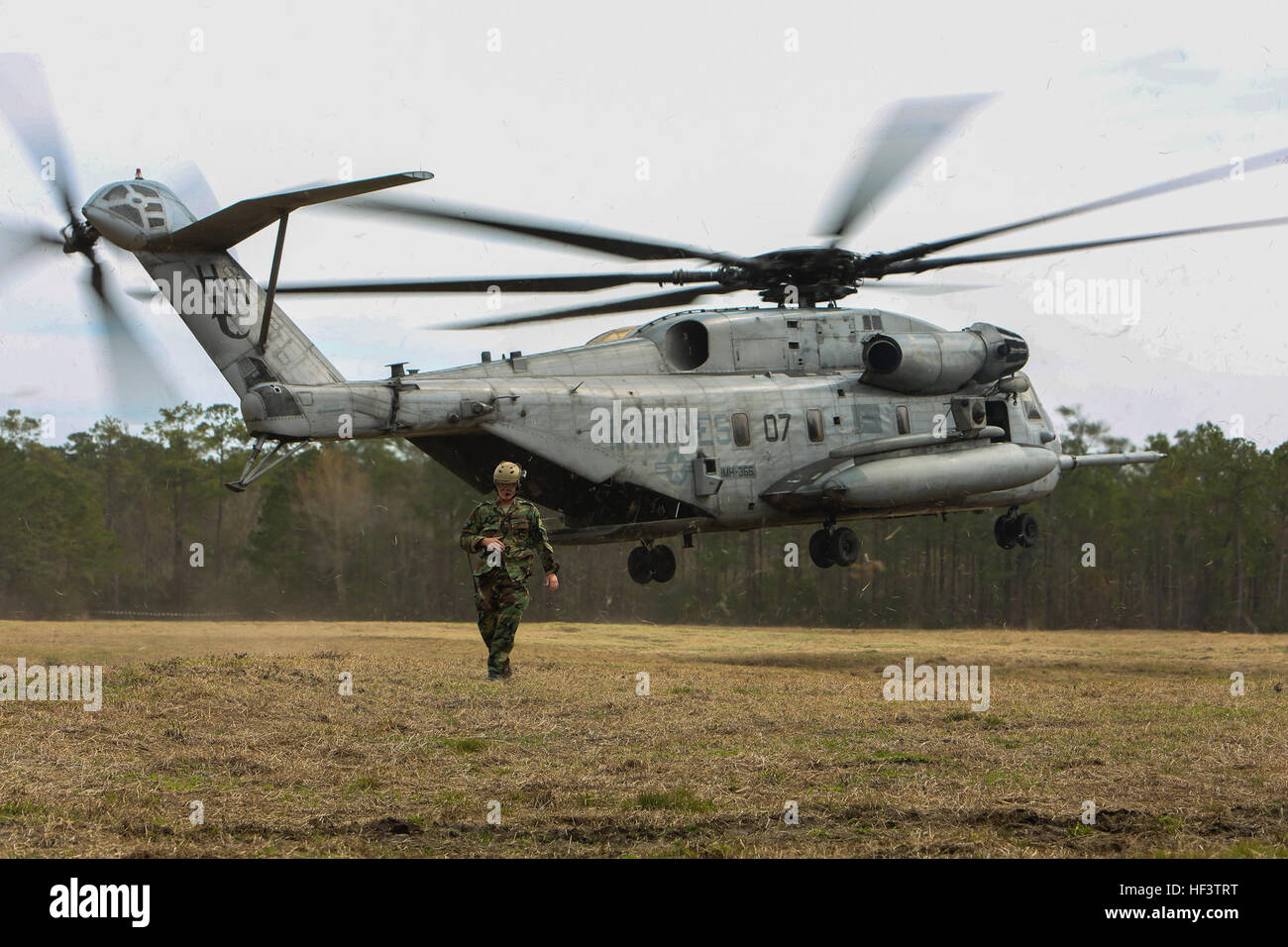 Un Royal Marine dei Paesi Bassi si prepara a condurre una rapida formazione di funi esercizio da un U.S. Marine Corps CH-53E Super Stallion a operazioni Expeditionary formazione centro di gruppo sulla baia di pietra, Camp Lejeune, N.C., 11 marzo 2016. I Royal Marines ha lavorato con gli Stati Uniti Marines come parte di un accordo bilaterale di esercitazione per imparare nuove tecniche nonché a sviluppare relazioni di lavoro tra nazioni partner. (U.S. Marine Corps photo by LCpl. Melanye E. Martinez, 2D MARDIV Combattere la telecamera/RILASCIATO) olandese di formazione bilaterali 160311-M-MS784-022 Foto Stock