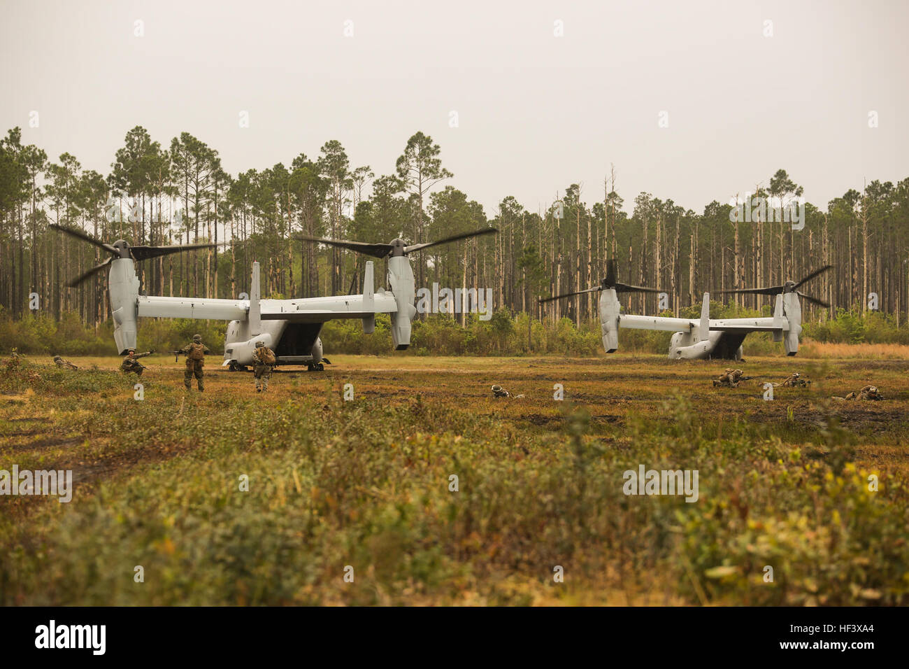 Marines con 2° Battaglione, 8° Reggimento Marine sotto forma di strategie difensive dopo lo sbarco di due V-22 Asprì durante un attacco di plotone di evento di formazione di Camp Lejeune, N.C., 12 aprile 2016. L'unità effettua questa formazione più volte al mese per mantenere la tattica di manovrabilità di competenza per le implementazioni in programma. (U.S. Marine Corps foto di Cpl. Samuel Guerra/RILASCIATO) verso il caos, 2-8 si prepara per gli scenari di combattimento 160412-M-GL218-051 Foto Stock