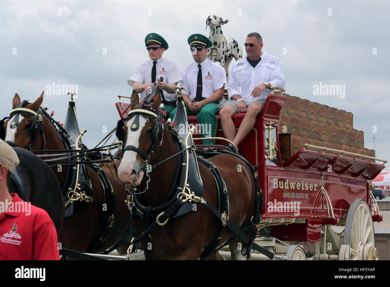 Lt Col. Travis L. poteri, diritto, stazione aria delegato,sovrasta la Budweiser Clydesdales carro come egli si prepara a prendere parte alla loro prestazioni durante il 2016 GLI ICM Cherry Point Air Show - "Celebrando 75 anni" al Marine Corps Air Station Cherry Point, N.C., 1 maggio 2016. La Budweiser Clydesdales, un attacco di cavalli derivato da allevamenti in Clydesdale, Scozia, fungono da ambasciatori per la Anheuser-Busch Brewing Company. Gli otto team di cavallo è ben conosciuto in tutto il pubblico per la sua ricca di performance. Questo anno di air show ha celebrato gli ICM Cherry Point e 2 aeromobili Marine del parafango Foto Stock