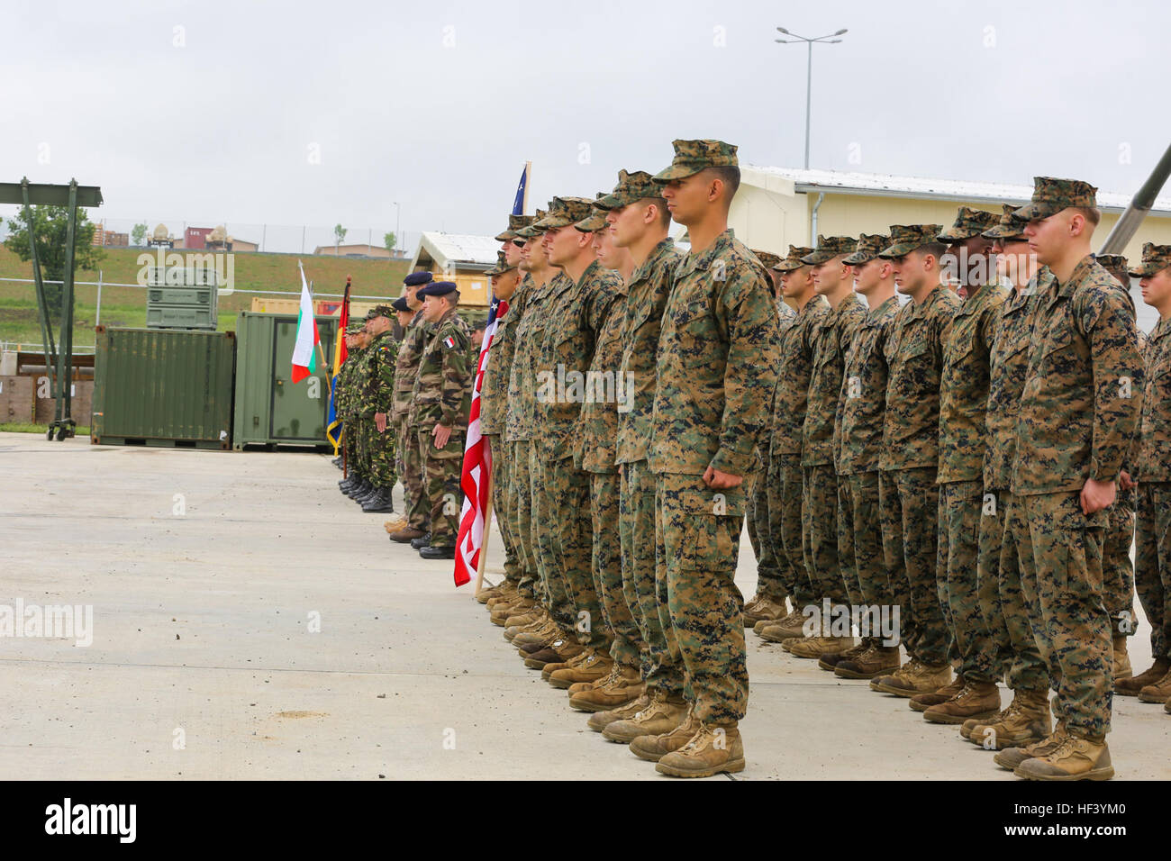 Stati Uniti Marines con bracci combinato Company, Mar Nero forza rotazionale e nazioni partner stand presso l'attenzione durante la riproduzione degli inni nazionali per l'inizio di platino Lion 16-3 a bordo di Novo Selo Area Formazione, Bulgaria, 9 maggio 2016. Lo scopo dietro il platino Lion 16-3 è di costruire la capacità del partner tramite l'obiettivo-mirata formazione e aumentare Marines' la possibilità di lavorare senza problemi con gli alleati della NATO e i paesi partner in tutto il mondo. (U.S. Marine Corps foto di Cpl. Immanuel M. Johnson/RILASCIATO) U.S. Marines e nazioni partner si riuniscono per esercizio di coalizione 160509-M-PJ201-020 Foto Stock