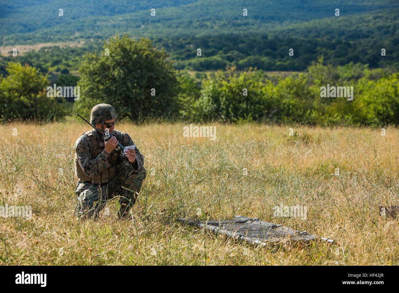 Stati Uniti Navy Petty Officer 2a classe Joshua Weber, un ospedale corpsman con il Mar Nero forza rotazionale, valuta e fornisce la lotta contro la vita il supporto per un incidente prova di evacuazione durante l'esercizio Platinum Lion 16-4 a bordo di Novo Selo Area Formazione, Bulgaria, 12 luglio, 2016. Questo multi-nazionale esercizio riunisce otto la NATO e i paesi partner per un live-fire esercizio finalizzato a rafforzare la difesa regionale in Europa Orientale. (U.S. Marine Corps foto di Cpl. Kelly L. Street, 2D MARDIV COMCAM/RILASCIATO) Bulgaria host multi-nazionale esercizio 160712-M-OU200-217 Foto Stock