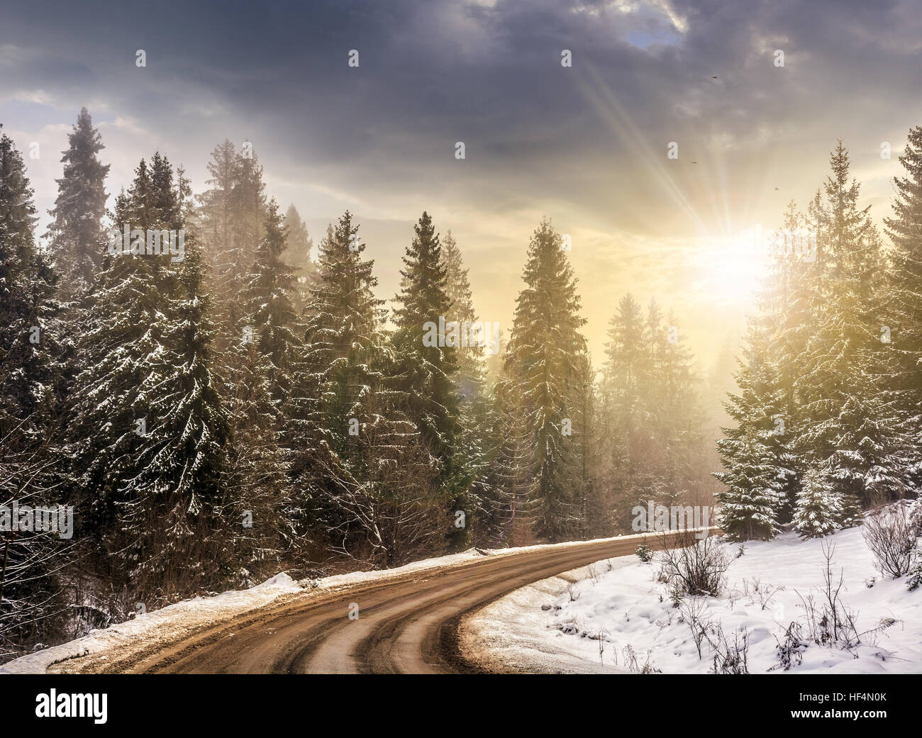 In inverno il paesaggio di montagna. tortuosa strada che conduce nel bosco di abete ricoperti di neve nella luce della sera Foto Stock