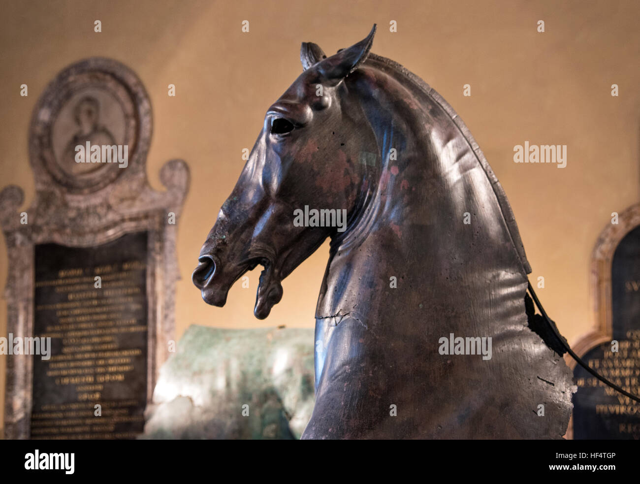 Cavallo di bronzo capitolino Museo Archeologico di Roma Italia Foto Stock