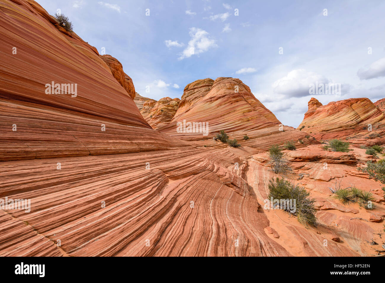 Ingresso di Wave - colorato e ingresso di vorticazione del famoso l'onda in Nord Coyote Buttes area, Pagina, Arizona, Stati Uniti d'America Foto Stock