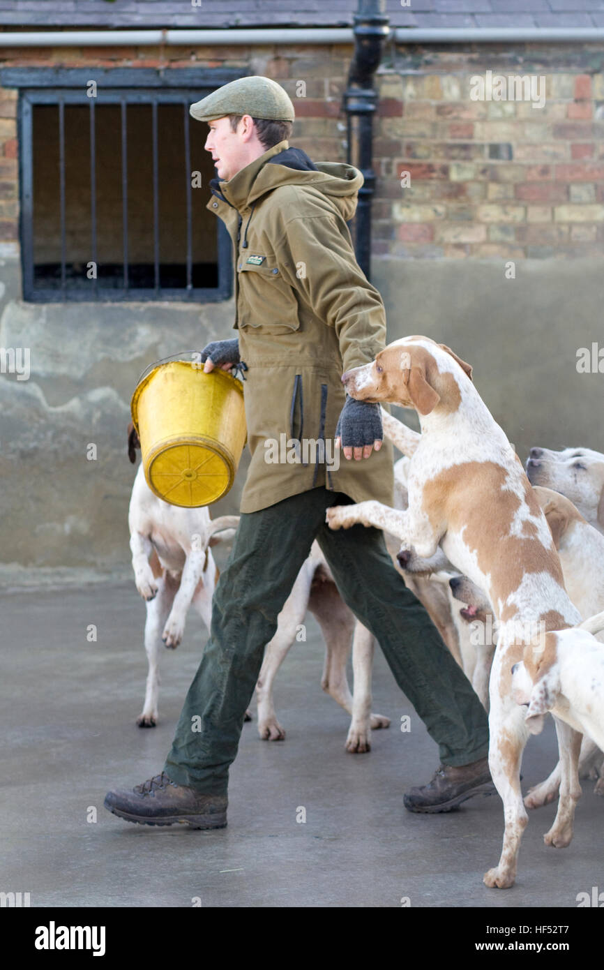 Canile lavoratore il lavaggio del canile giù per i segugi su Boxing day Foto Stock