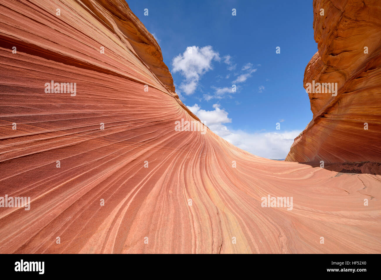 Onda rossa e blu del cielo - vista ravvicinata di coloratissimi roccia arenaria superficie, contro il cielo blu, presso l'onda in Nord Coyote Butte. Foto Stock