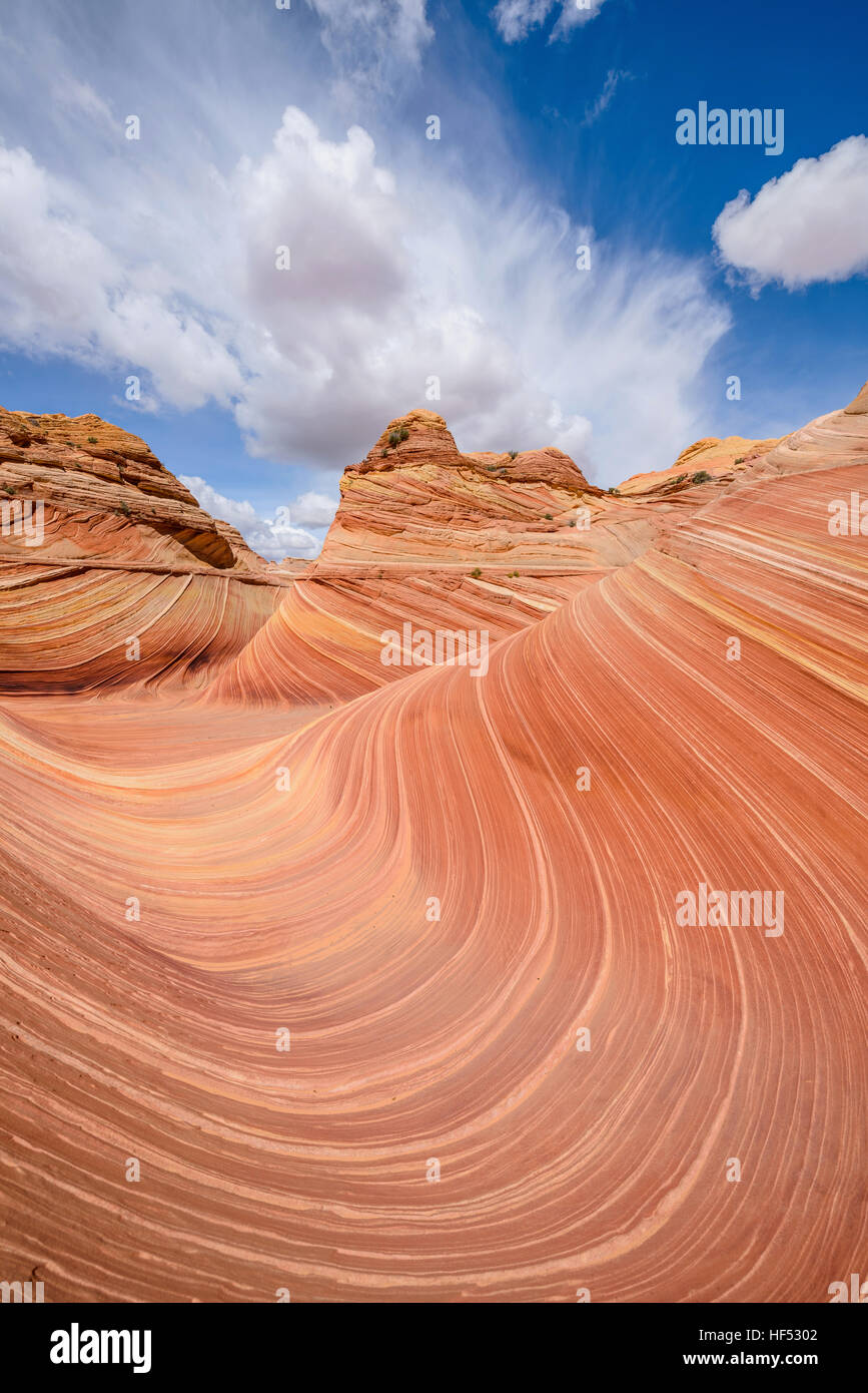 L'onda - vista verticale di vorticazione onde di arenaria e nuvole in onda nel nord Coyote Butte, Arizona-Utah, STATI UNITI D'AMERICA. Foto Stock