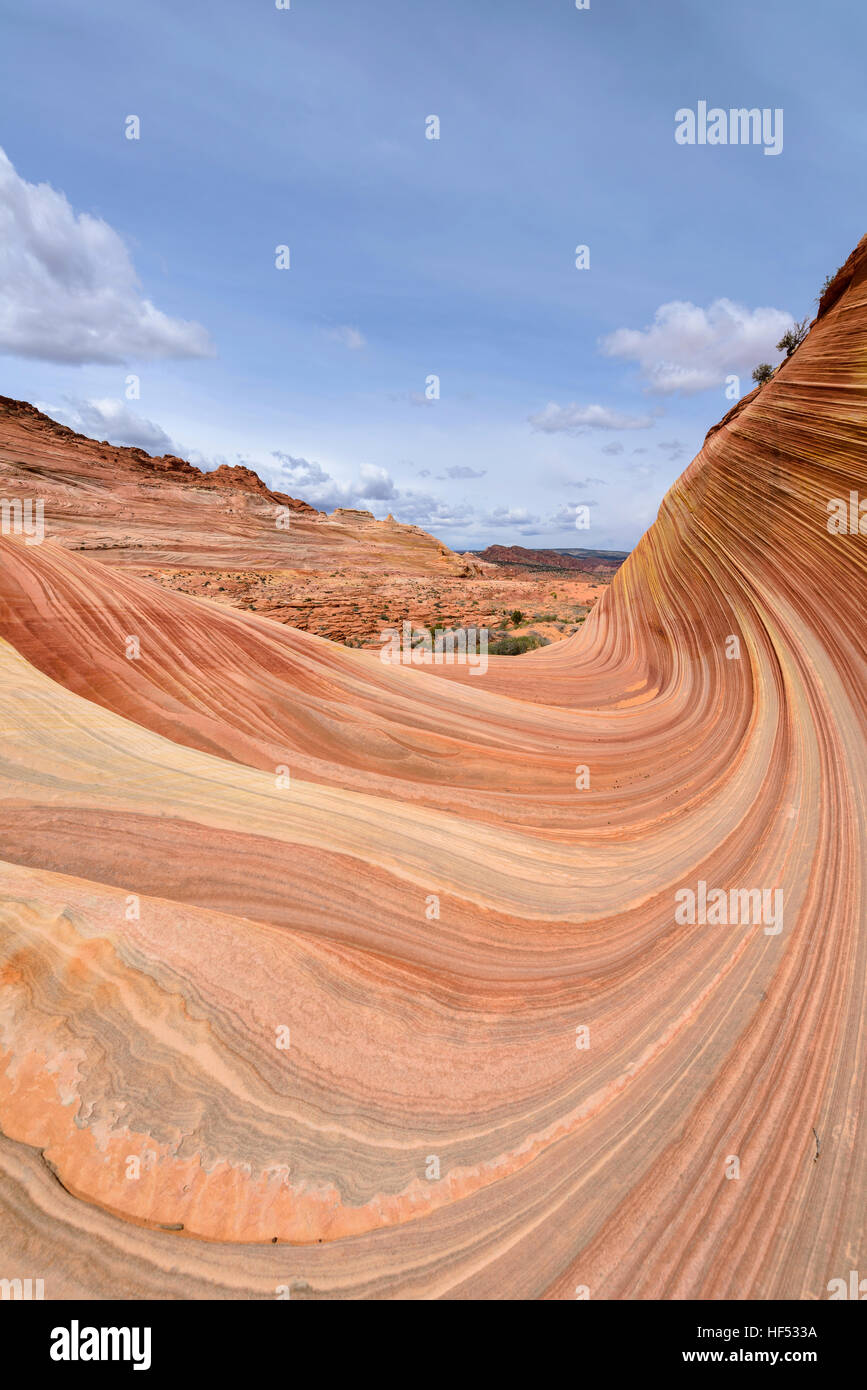 Onda di arenaria - Una grande e colorata e vorticoso di roccia arenaria formazione presso l'entrata dell'onda al confine Arizona-Utah. Foto Stock