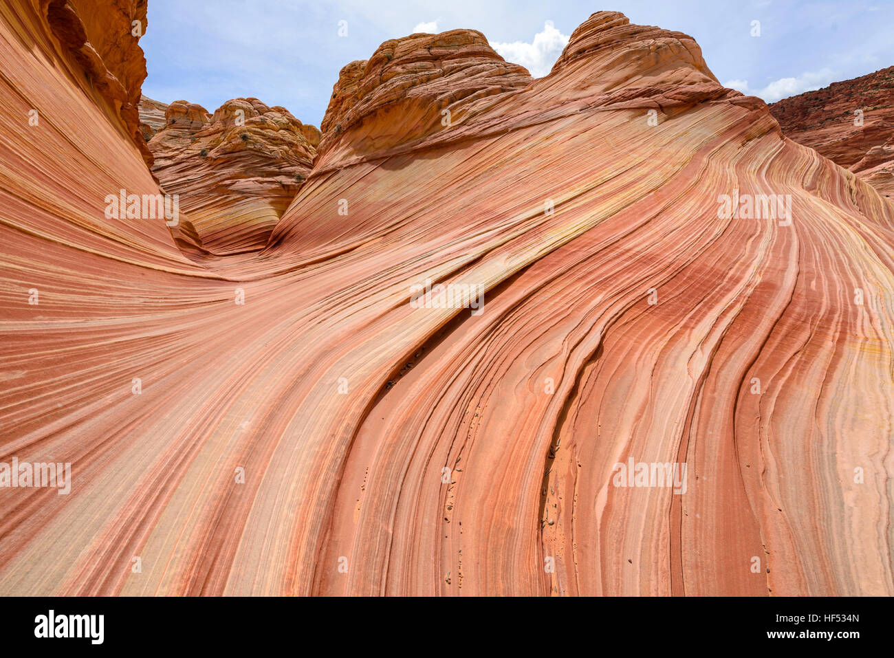 Arenaria Buttes - arenaria colorata buttes alla periferia della forma d'onda, una drastica erosione di roccia arenaria formazione, Utah, Stati Uniti d'America. Foto Stock