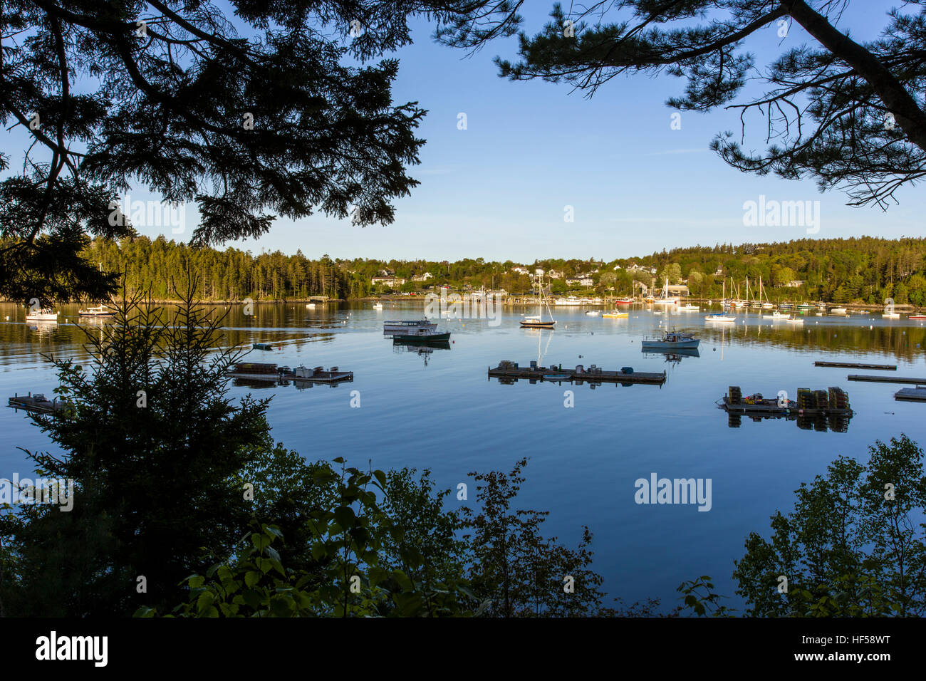 Barche ormeggiate nel porto di nord-est, Maine, Stati Uniti d'America Foto Stock