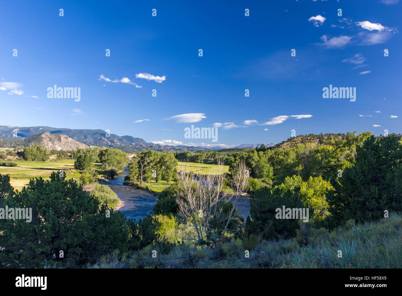 Vista del fiume Arkansas tra Salida e Buena Vista, Chaffee County, Colorado, STATI UNITI D'AMERICA Foto Stock