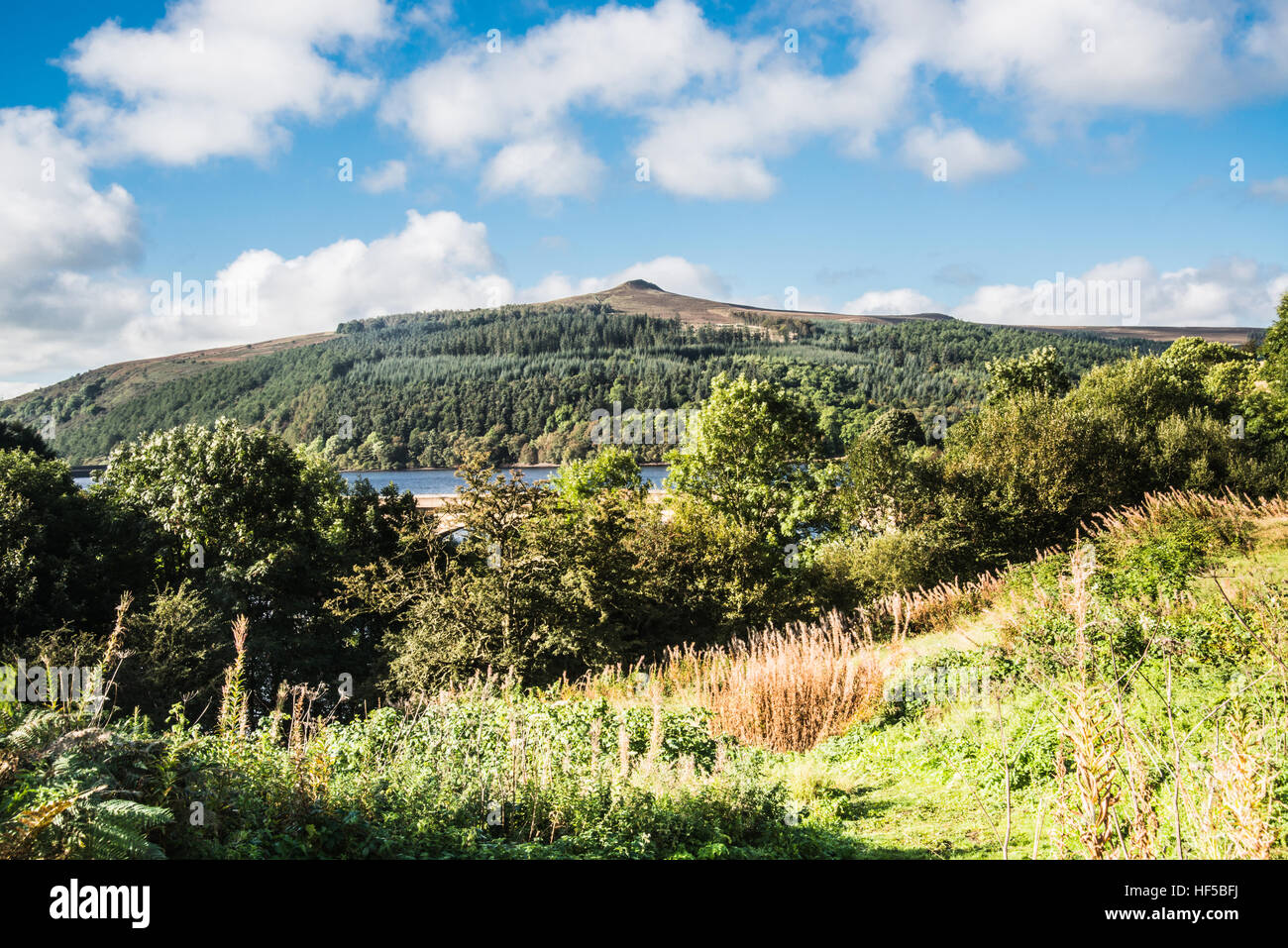 Guardando oltre il Derbyshire su questo affascinante e luminoso mattina Ray Boswell Foto Stock