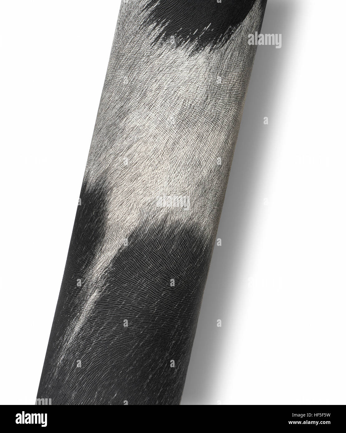 Testurizzato laminati pelo di animali superficie isolata su bianco con ombra Foto Stock