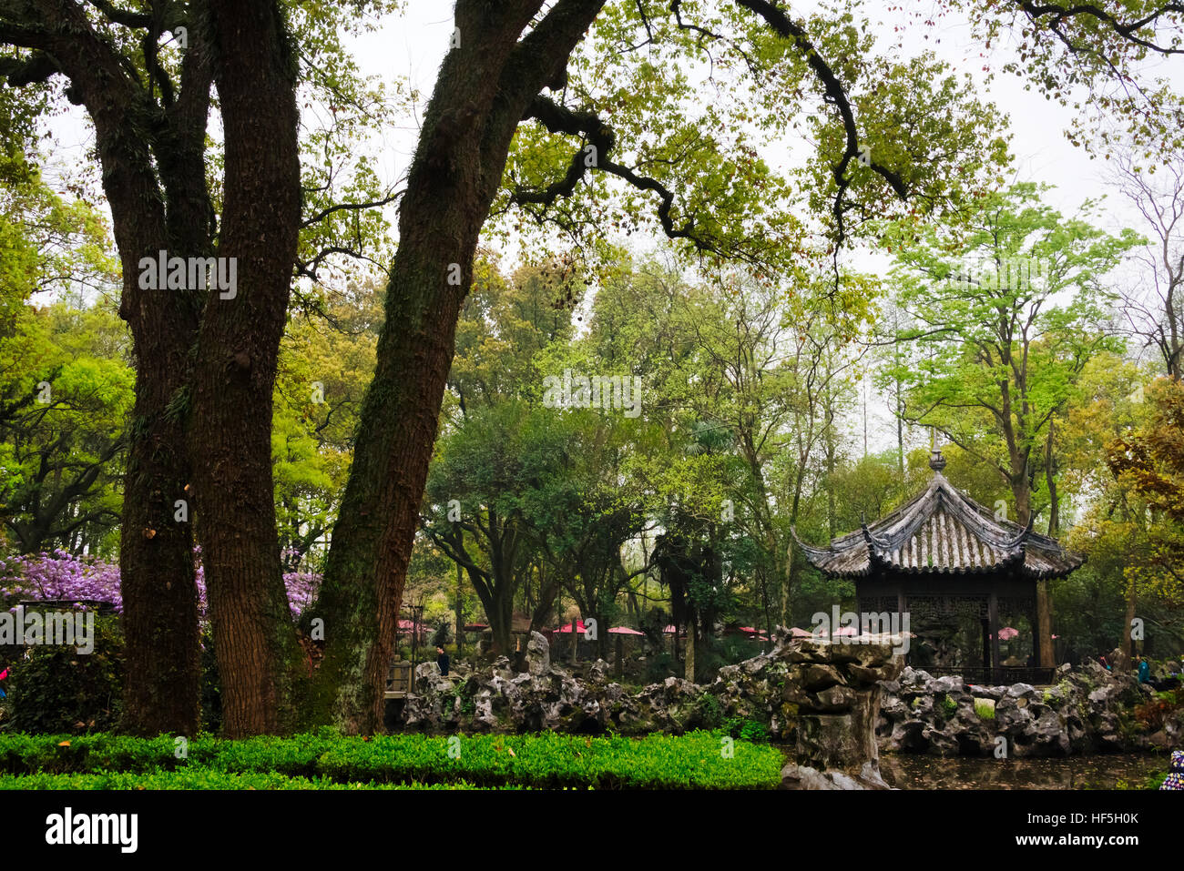 Giardino in libreria Jiaye, Nanxun antica Città, Provincia dello Zhejiang, Cina Foto Stock