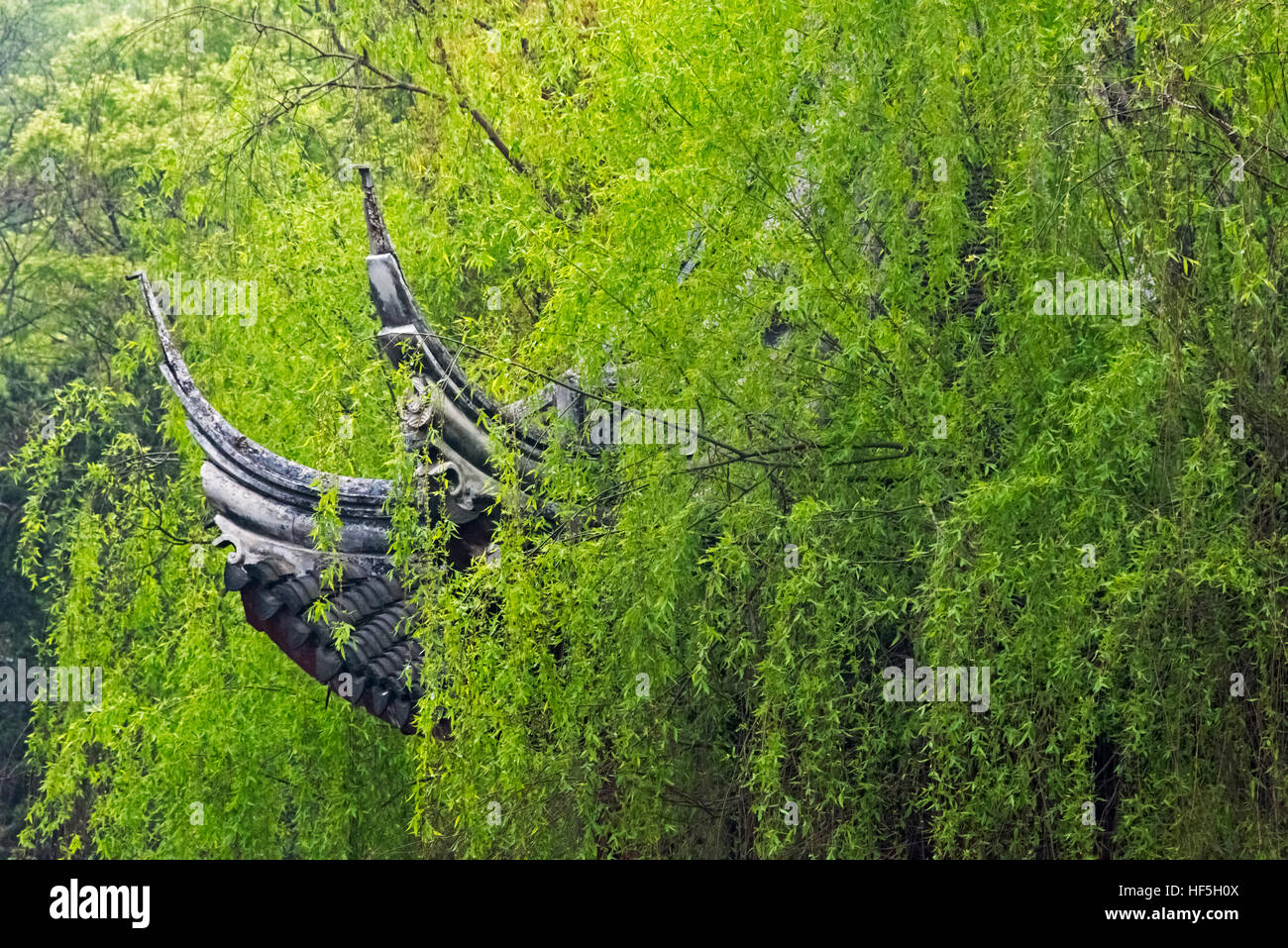 Padiglione con gli alberi di salice in Xiaolianzhuang Resort, Nanxun antica Città, Provincia dello Zhejiang, Cina Foto Stock