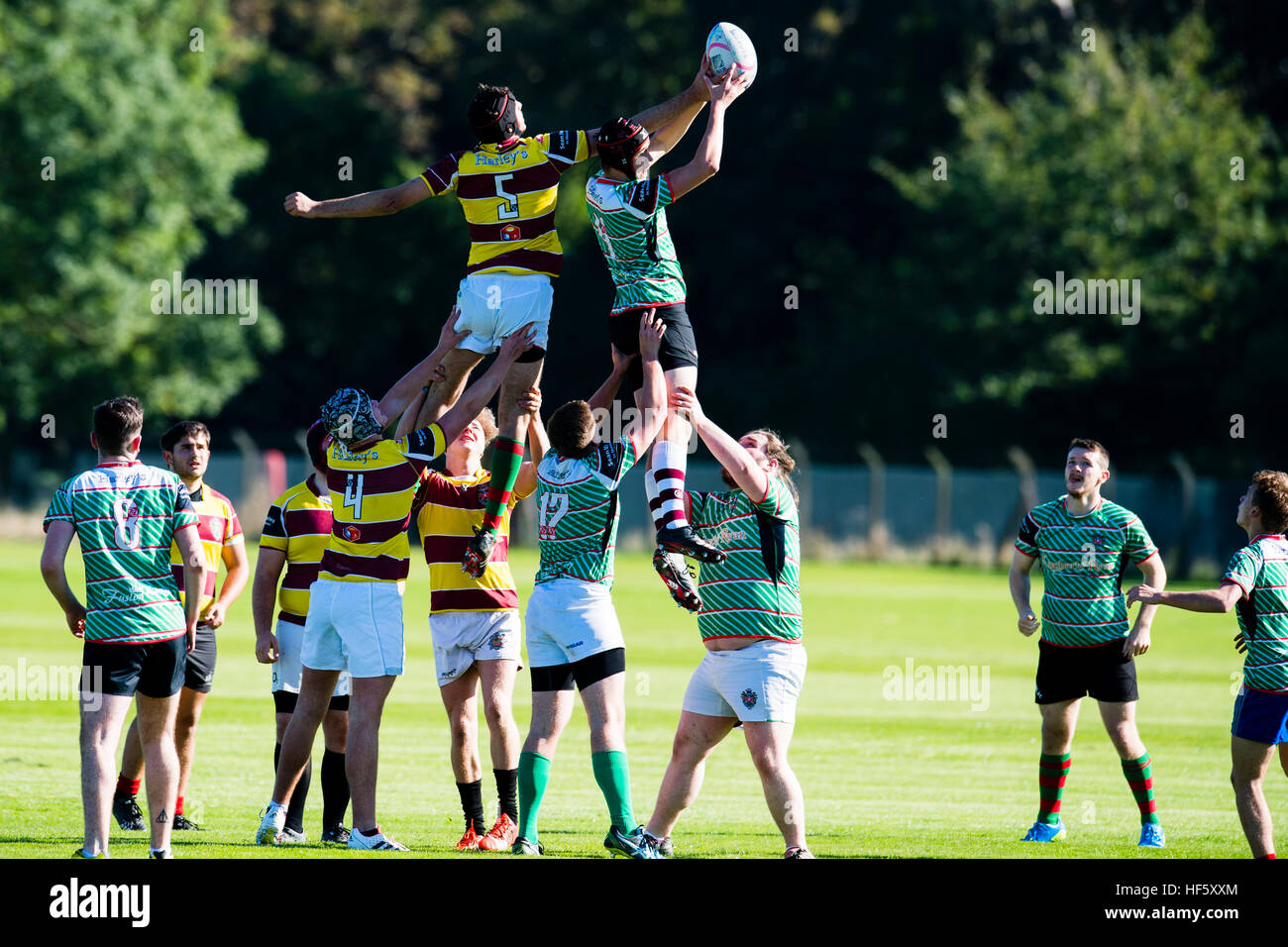 Istruzione superiore nel Regno Unito: Aberystwyth studenti universitari la riproduzione di sport di squadra giochi sul campus - Rugby Foto Stock