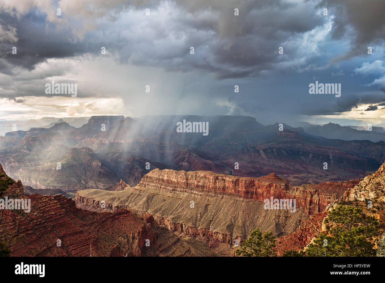 Temporale nel Parco Nazionale del Grand Canyon, Arizona Foto Stock