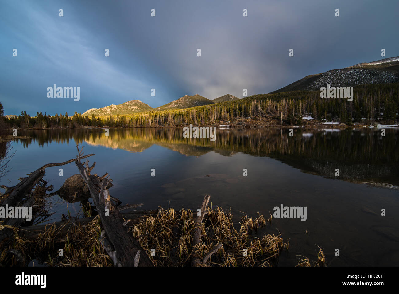 Montagne e alberi riflessa in un lago calmo. Foto Stock