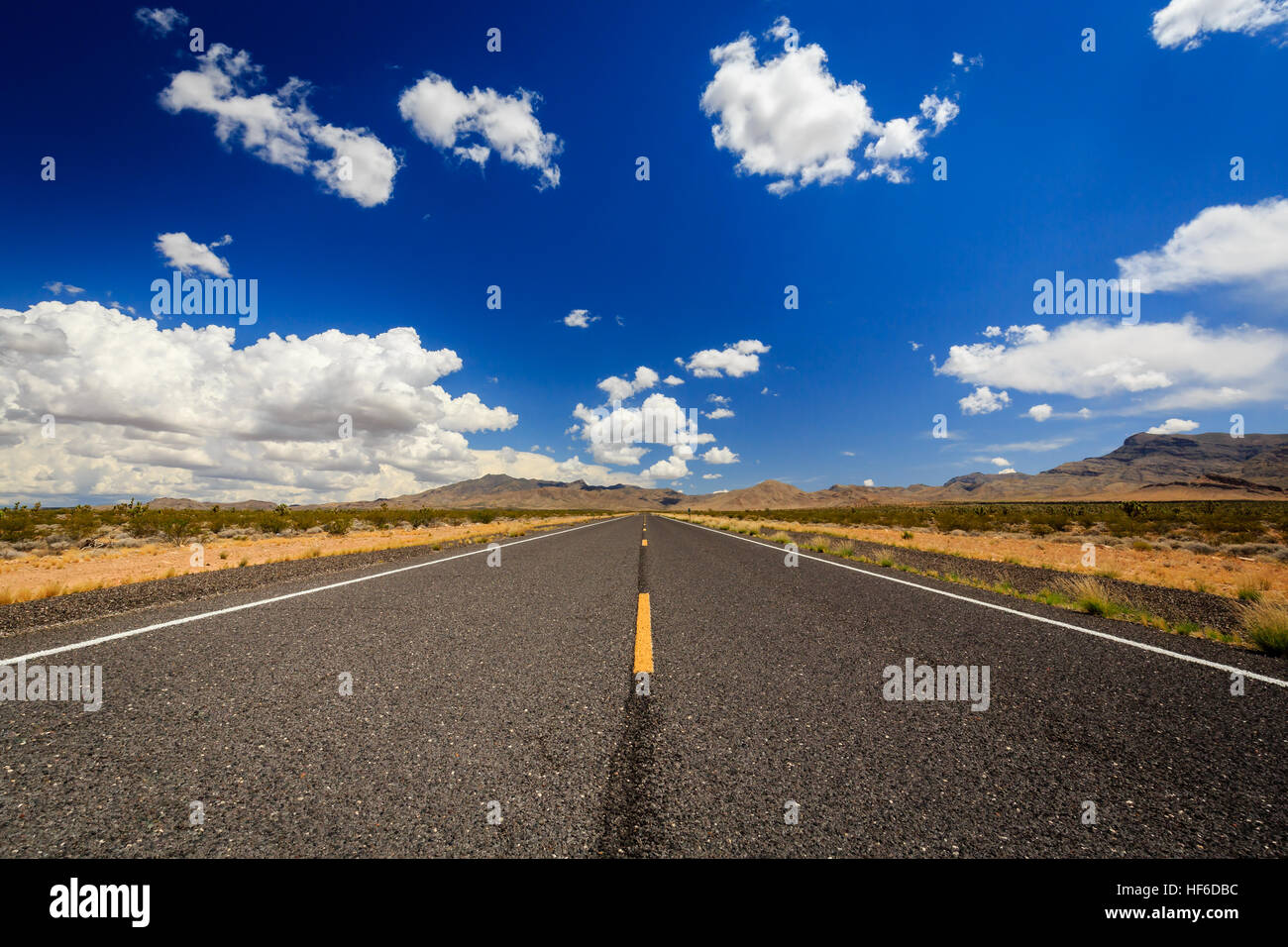 County Highway 91 Littlefield, AZ 86432, STATI UNITI D'AMERICA. Infinite road nel deserto dell'Arizona. Foto Stock