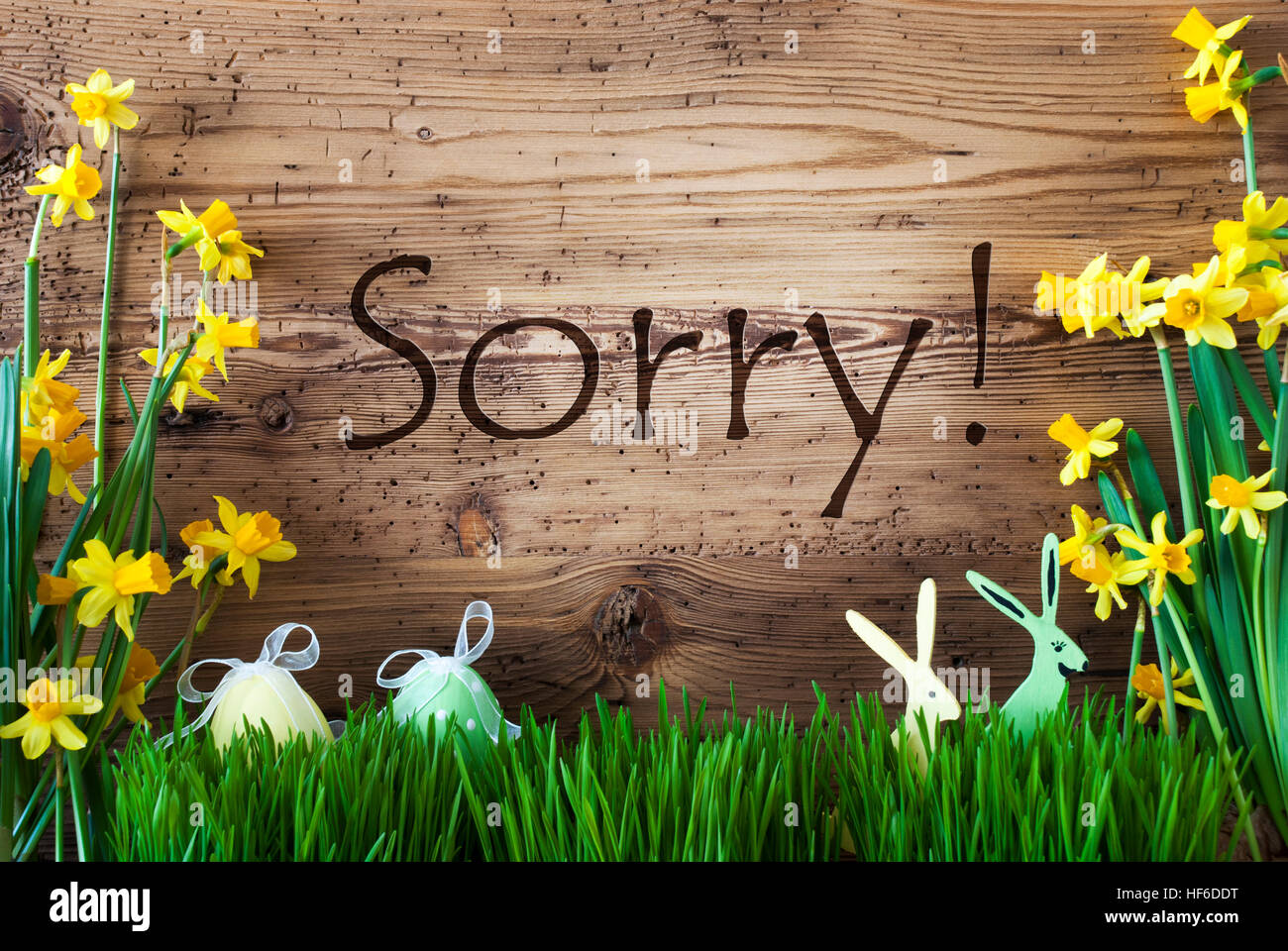 Decorazione di pasqua, Gras, Testo Spiacenti Foto Stock