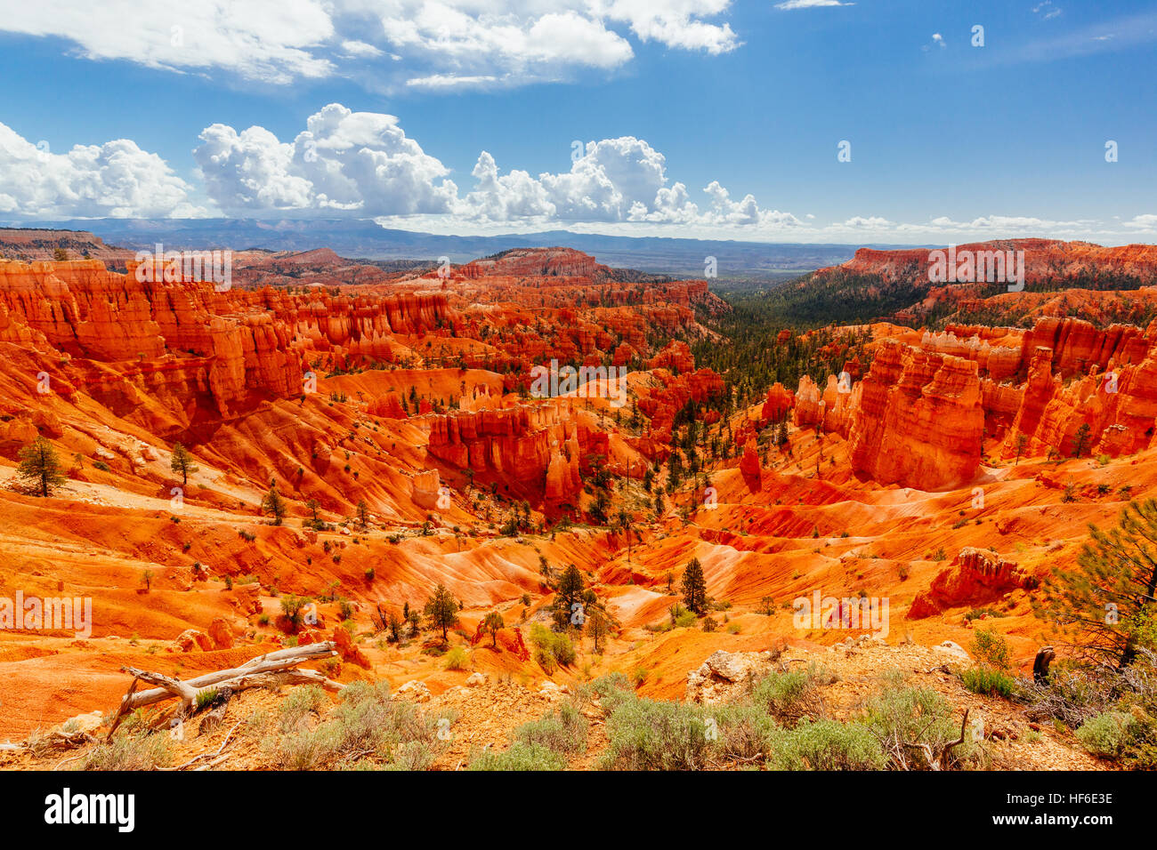 Bryce Canyon è una collezione di anfiteatri naturali da parte dell'altopiano Paunsaugunt. Bryce è un tratto distintivo a causa di strutture geologiche hoodo chiamato Foto Stock