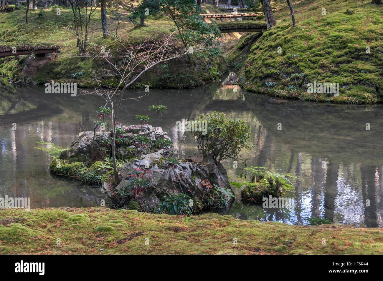 Il giardino di Saiho-ji (Takedera, moss tempio) in autunno, Kyoto, Giappone Foto Stock