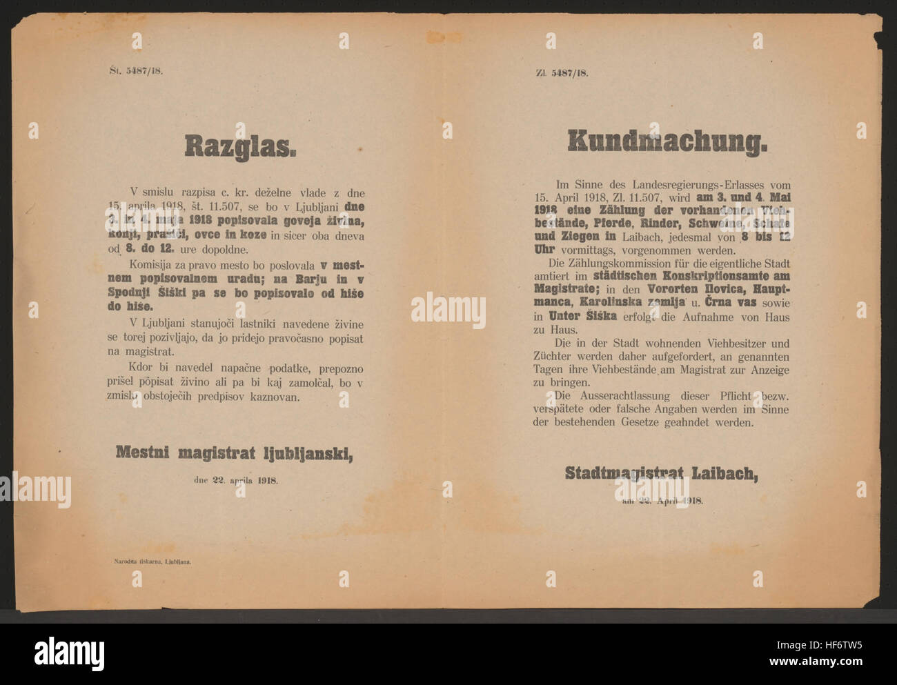 Zählung der vorhandenen Viehbestände (Pferde, Rinder, Schweine, Schafe und Ziegen) am 3.und 4. Mai 1918 - Falsche Angaben oder Ausserachtlassung wird bestraft - Stadtmagistrat Laibach, am 22. Aprile 1918 - Zl. 5487/18 Aufnahme der Viehbestände - Kundmachung - Laibach - Mehrsprachiges Plakat 1918 Foto Stock