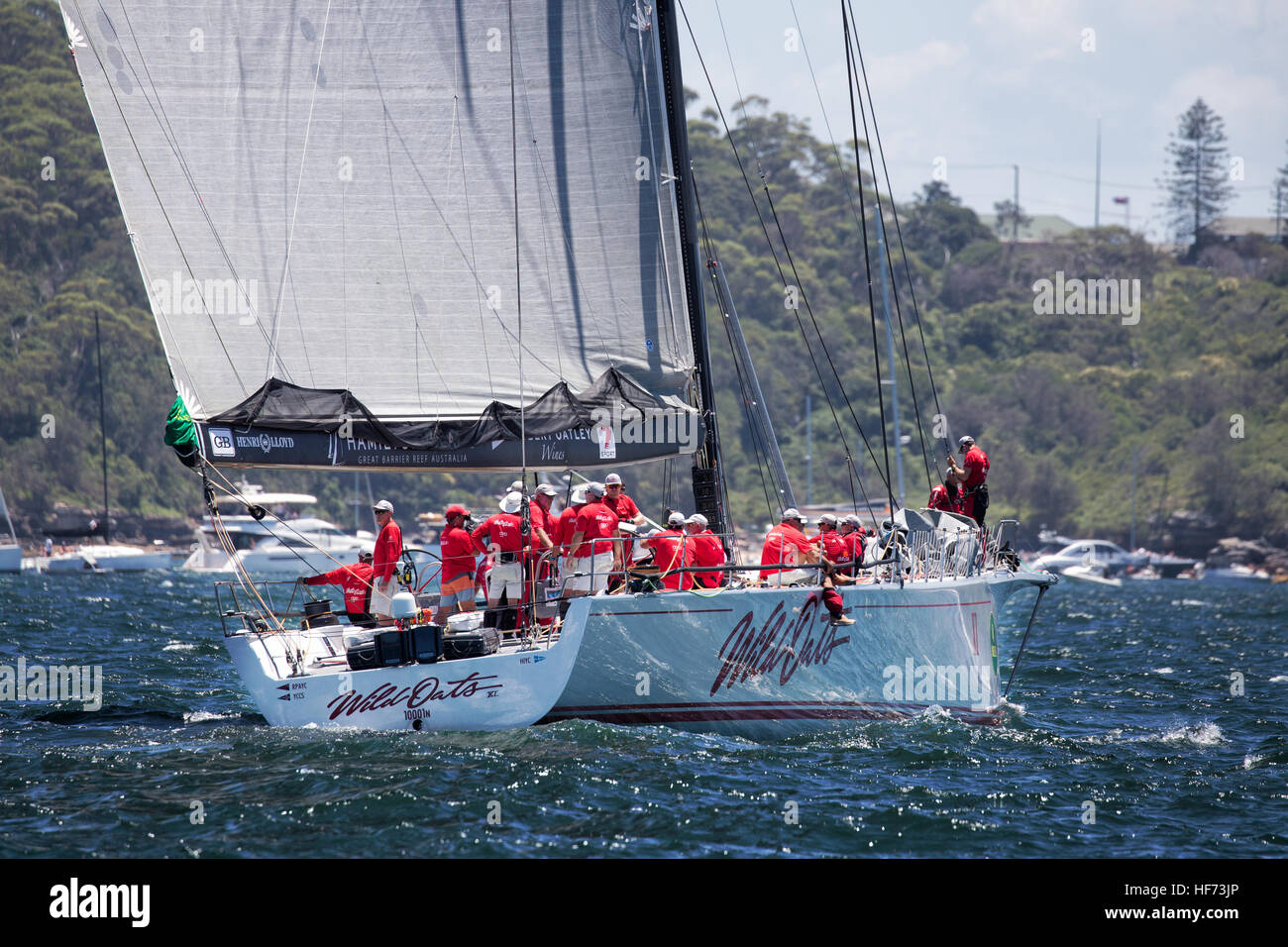 Il super-maxi yacht di avena selvatica XI si prepara per l'avvio dell'annuale Sydney Hobart yacht race. Foto Stock