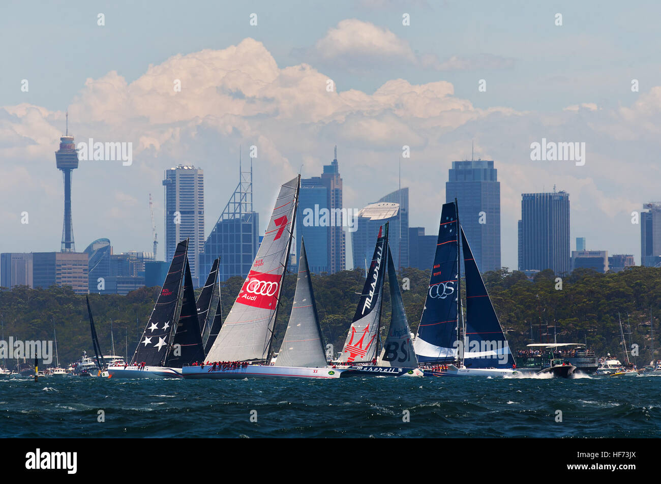 Yachts che includono la super-maxis Wild Oats XI e CQS preparare per l'avvio dell'annuale Sydney Hobart yacht Foto Stock