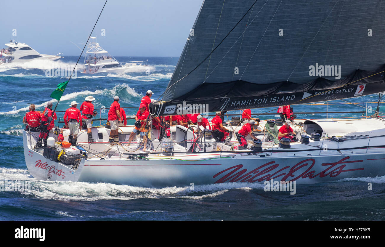 Il super-maxi Wild Oats XI capi giù lungo la costa in annuale di Sydney Hobart yacht race. Foto Stock