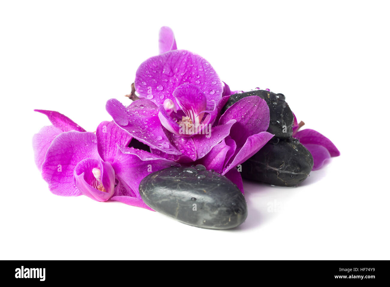 Spa concept di orchidea viola sulle pietre con gocce Foto Stock