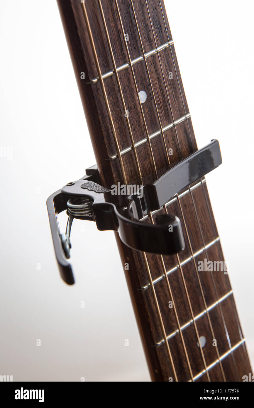 Tipo di molla guitar capo posizionato tra i tasti su un collo in palissandro, Foto Stock