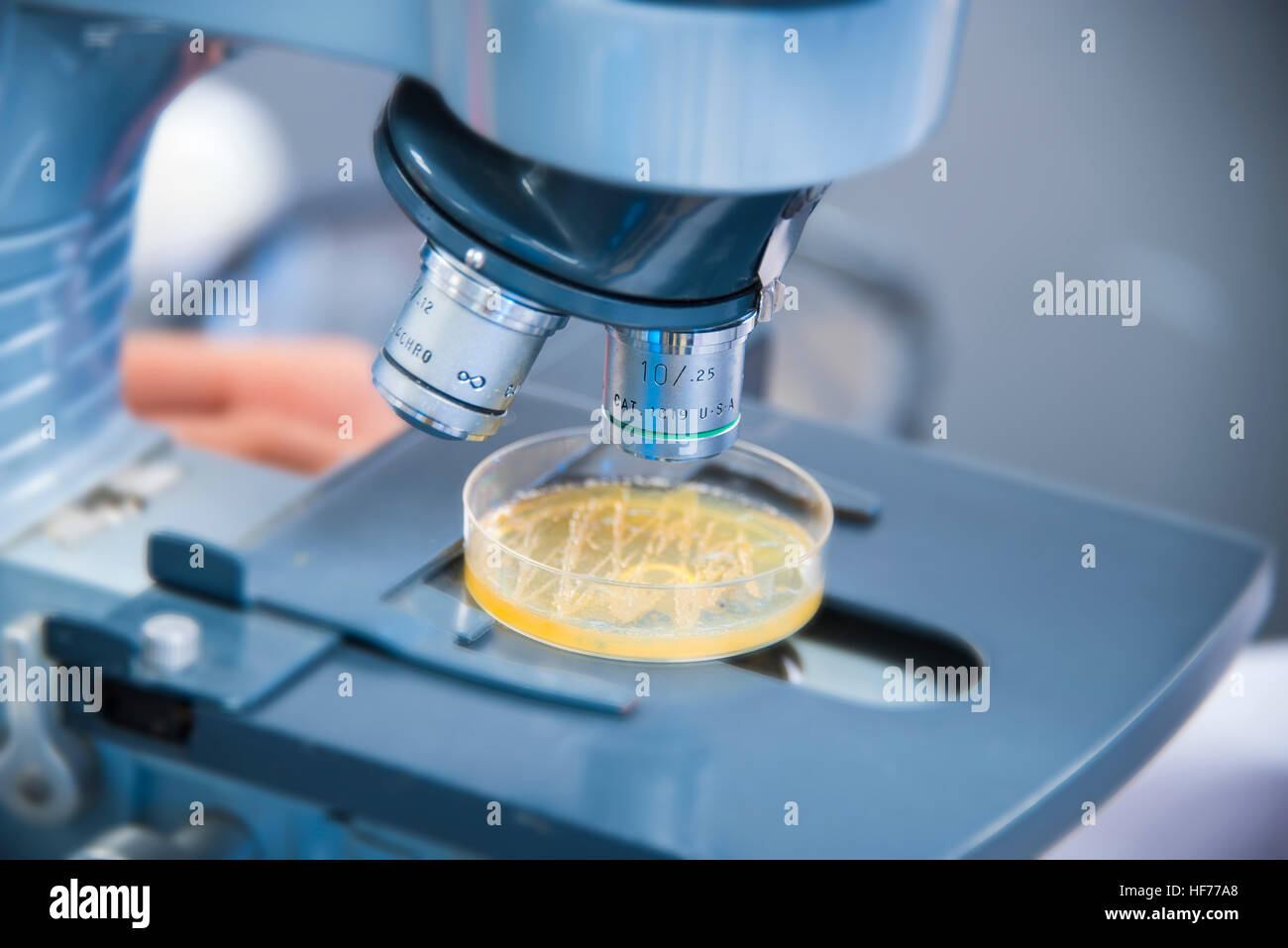 Microscopio ricerca scientifica campione di test in laboratorio Foto Stock