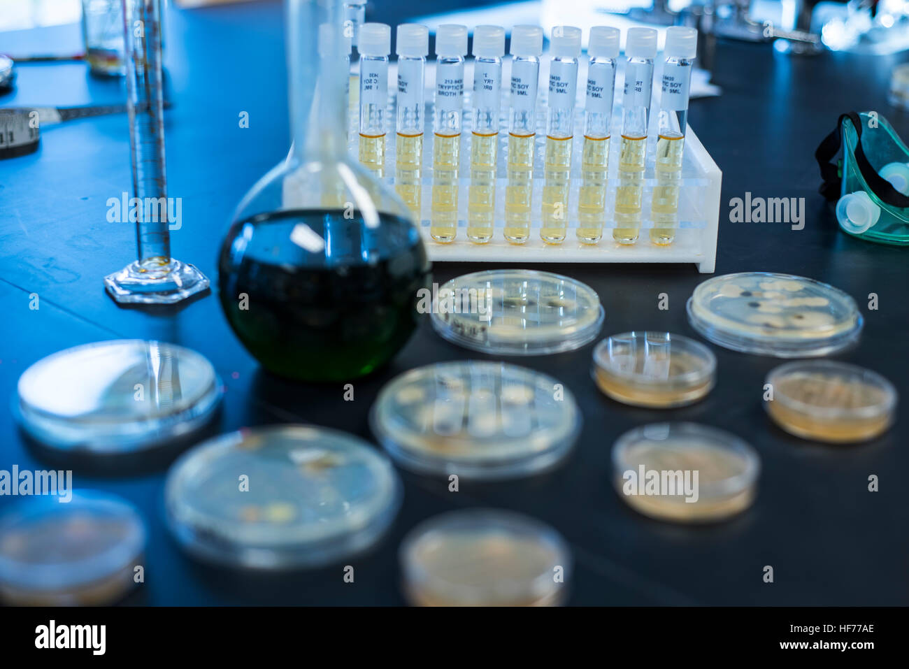 Progetto di ricerca scientifica con articoli di vetreria di laboratorio Foto Stock