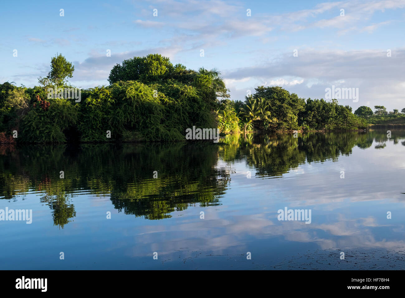 La mattina presto la riflessione in un lago vicino a Las Terrazas, Cuba Foto Stock