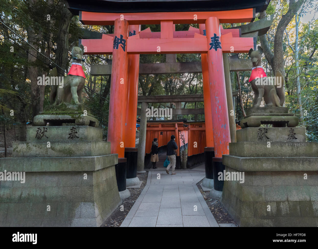 Fox statue (kitsune) e torii gates, Fushimi Inari Taisha Sacrario Scintoista, Kyoto, Giappone Foto Stock