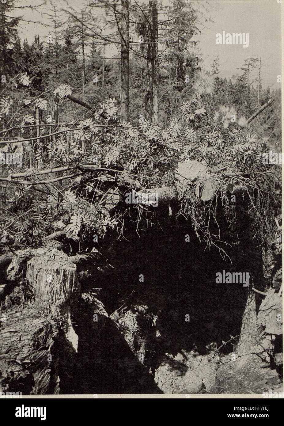 Questa fotografia, parte delle collezioni Europeana della prima guerra mondiale, mostra una squadra militare tedesca sul campo. Fornisce informazioni sulle operazioni tecniche durante la guerra, evidenziando l'importanza dei sondaggi militari per la strategia sui campi di battaglia. Foto Stock