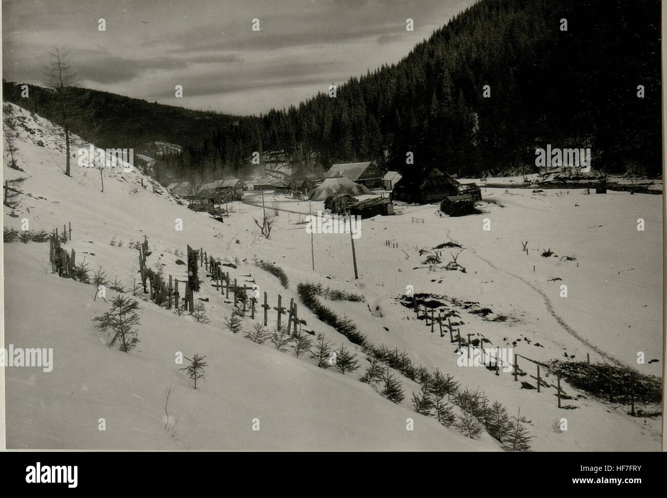 Questa fotografia della prima guerra mondiale raffigura una sezione dell'Heldenfriedhof (cimitero degli Eroi), che segna il sacrificio e il ricordo dei soldati che combatterono nella guerra. L'immagine funge da promemoria cronologico del periodo. Foto Stock