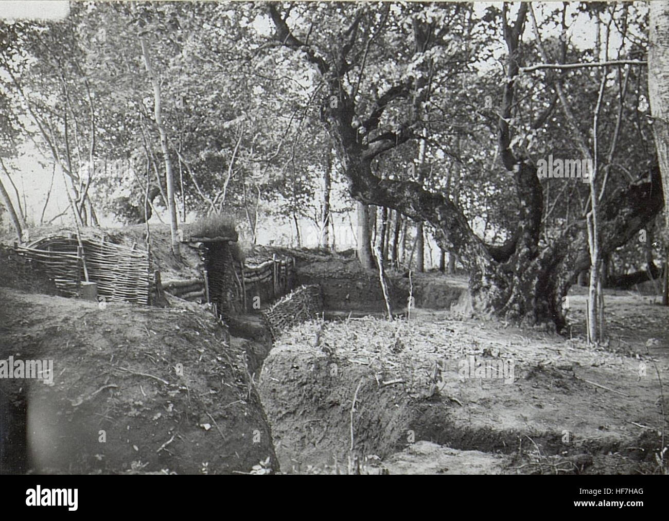 Beobachtungsstand, Maschinengewehrstand im Walde. Beim grossen Baum ein Fuchsloch. 15691692) Foto Stock