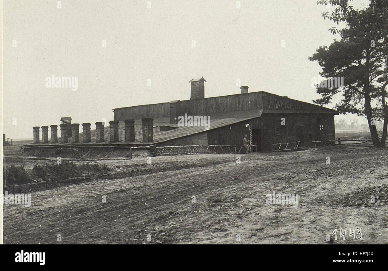 Questa rappresentazione tedesca del 1914-1918 mostra infrastrutture, fabbriche e operazioni militari in Russia durante la prima guerra mondiale, concentrandosi sulla mappatura in tempo di guerra e sui contributi industriali allo sforzo bellico. Foto Stock
