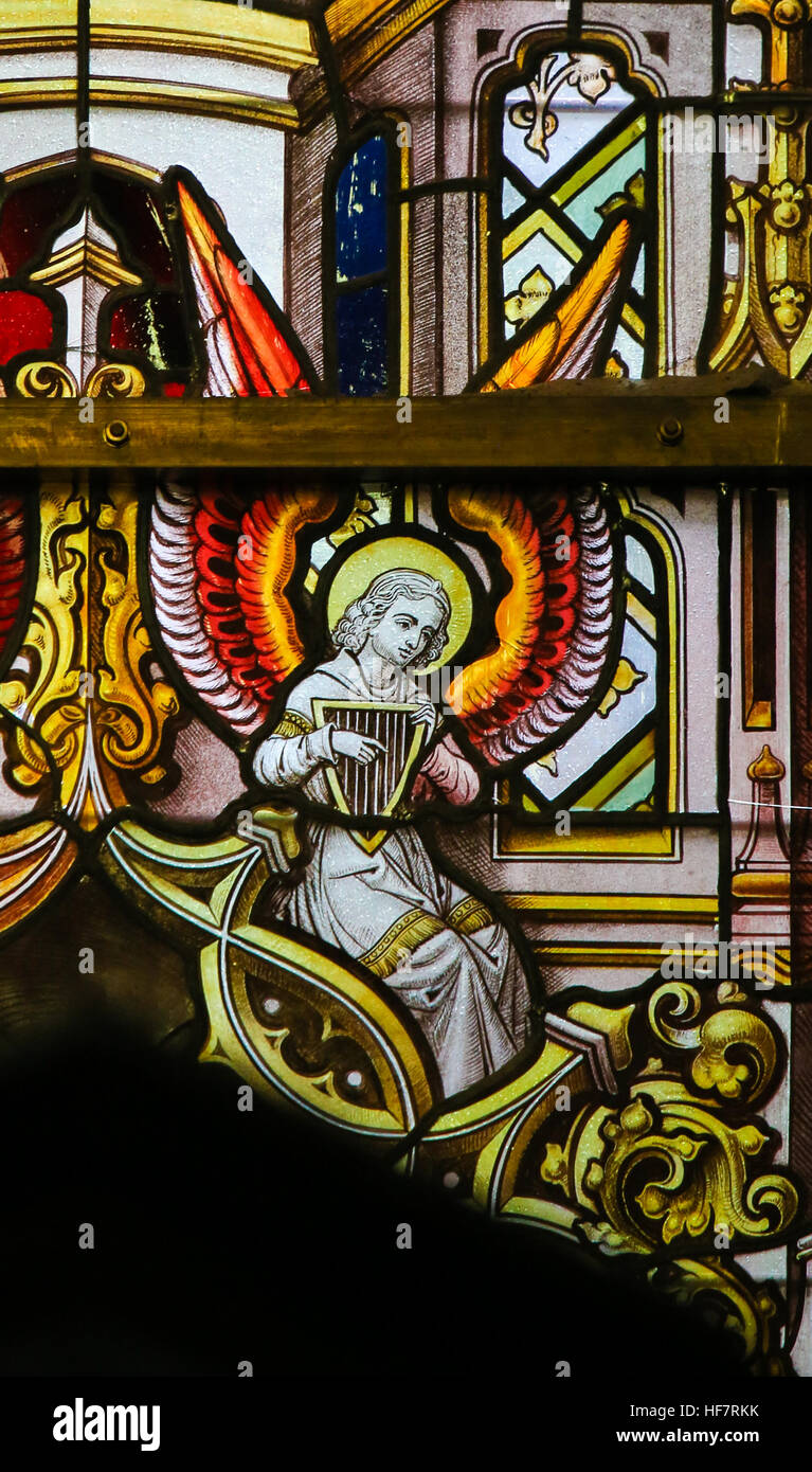 Vetrata raffigurante un angelo giocando un arpa celtica, che simboleggiano l'Irlanda, nella Cattedrale di Saint Bavo a Gand, Belgio. Foto Stock