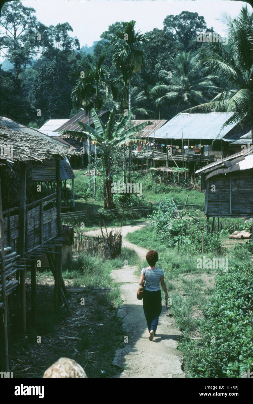 Questa immagine raffigura un insediamento tradizionale del popolo Dayak nella zona di Kuching di Sarawak, Malesia. I Dayak sono mostrati di fronte alle loro longhouses, che sono centrali nelle loro pratiche culturali e spirituali, comprese le offerte agli spiriti della natura. Foto Stock