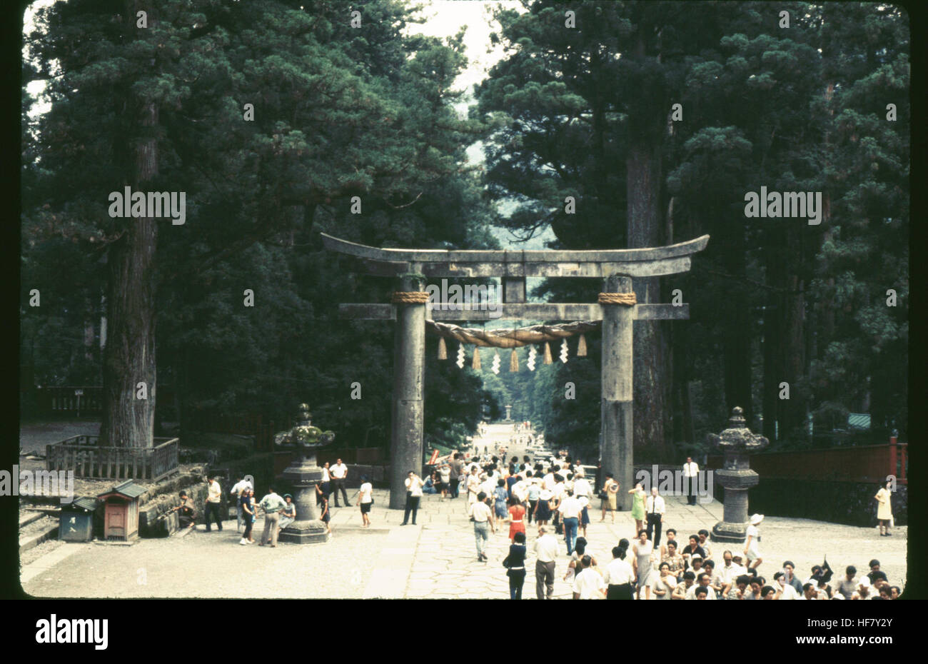 Questa fotografia mostra un cancello Torii situato sul terreno di un tempio shintoista a Nikko, in Giappone. Il Torii è una tradizionale porta giapponese che segna l'ingresso agli spazi sacri. Foto Stock