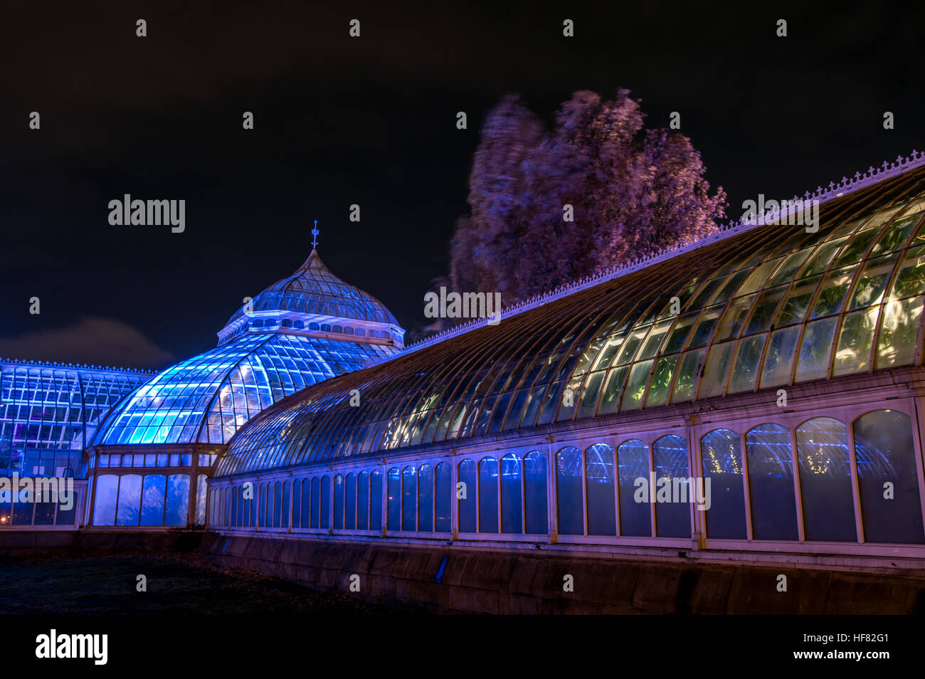 Vista notturna di Phipps Conservatorio di Pittsburgh, in Pennsylvania, STATI UNITI D'AMERICA Foto Stock