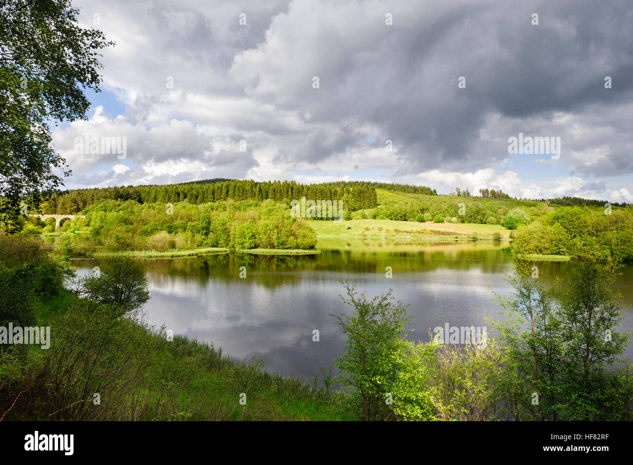 Kielder Water Foto Stock