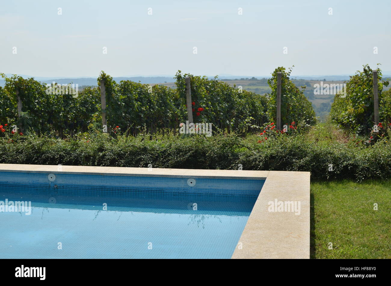 Parte della piscina accanto a un docile vigneto Foto Stock
