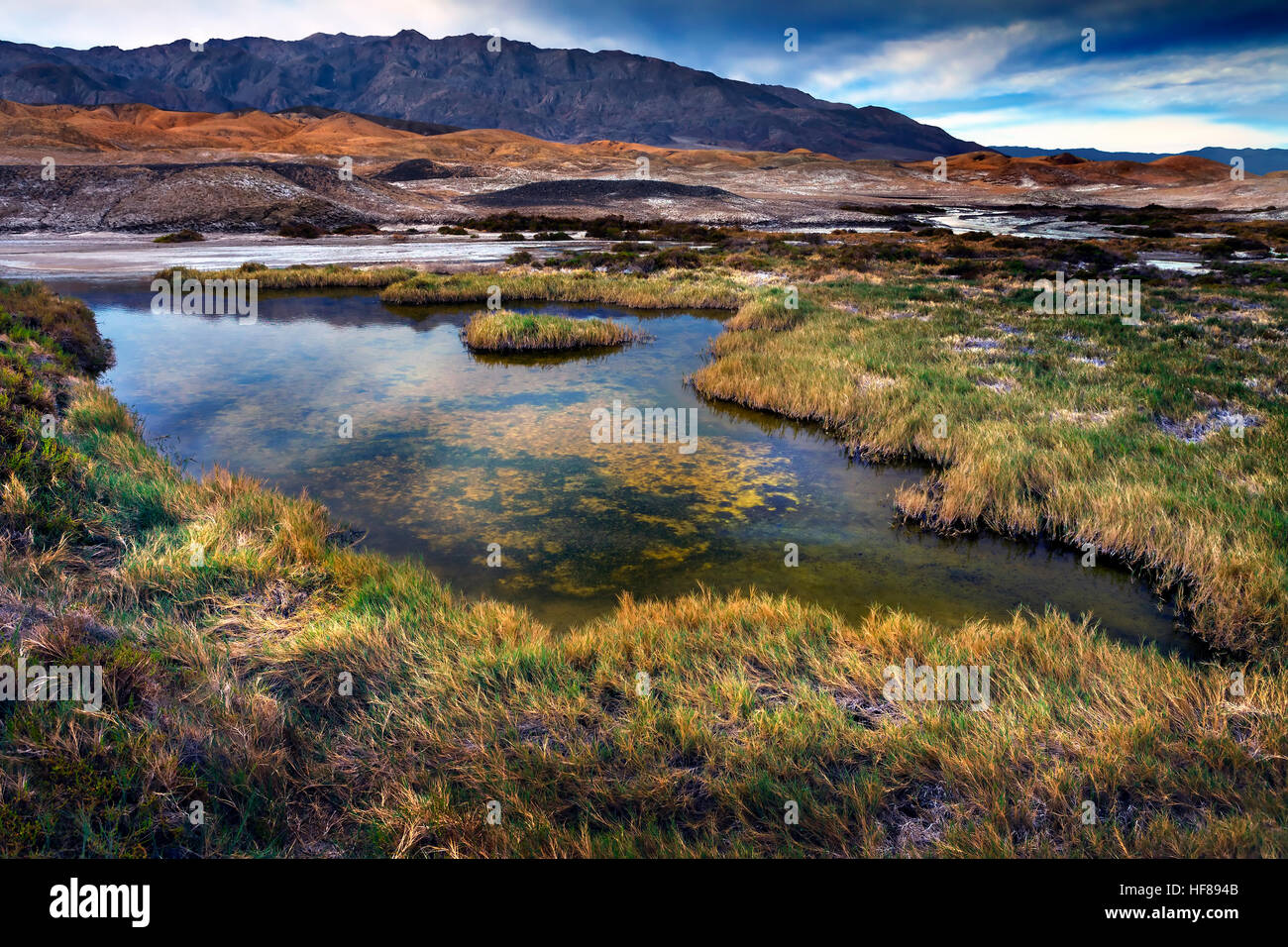 Salt Creek, Death Valley, California Foto Stock