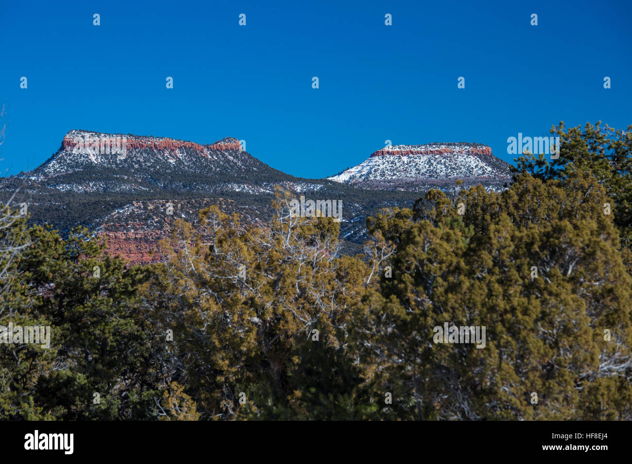 Blanding, Utah - porta le orecchie del Monumento Nazionale, che protegge da 1,35 milioni di acri nel sudest dell'Utah. Il monumento nazionale è chiamato dopo due eminenti buttes, orsi orecchie, che può essere visto in tutto il territorio della regione. Credito: Jim West/Alamy Live News Foto Stock